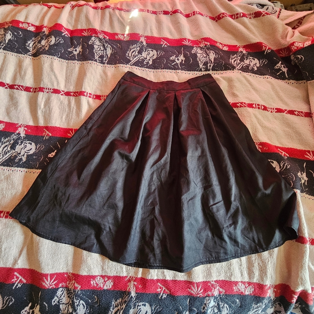 NWOT skirt